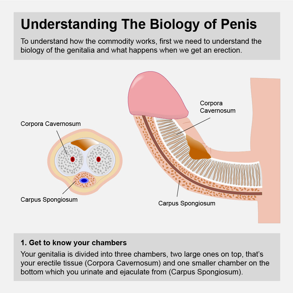 Male Penis Enlarger Vacuum Pump