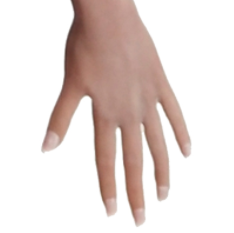 Hands- Ariticulated finger